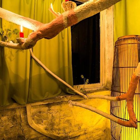 Dao Anh Khanh Tree House Hanoi Esterno foto
