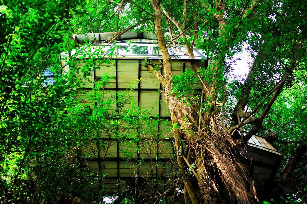 Dao Anh Khanh Tree House Hanoi Camera foto