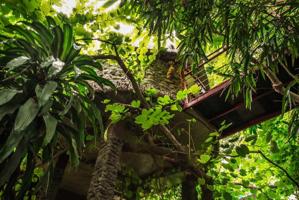 Dao Anh Khanh Tree House Hanoi Esterno foto
