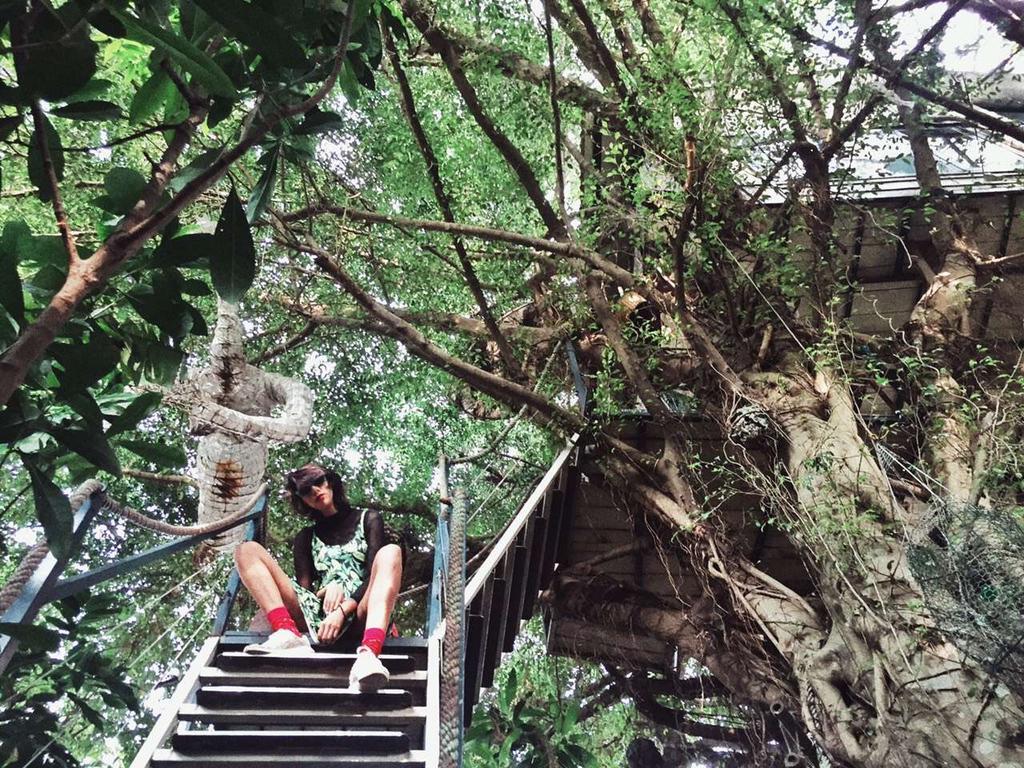 Dao Anh Khanh Tree House Hanoi Esterno foto
